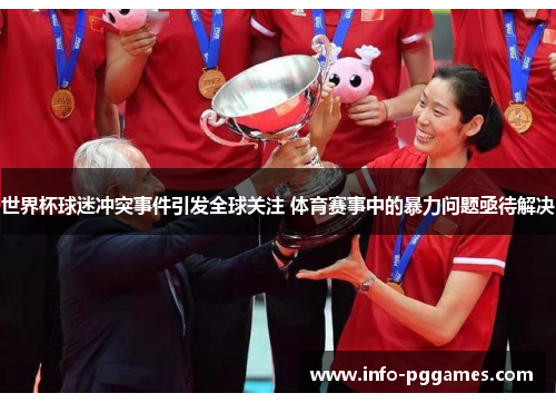 世界杯球迷冲突事件引发全球关注 体育赛事中的暴力问题亟待解决