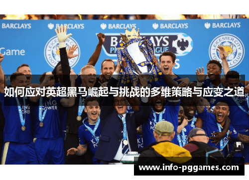 如何应对英超黑马崛起与挑战的多维策略与应变之道