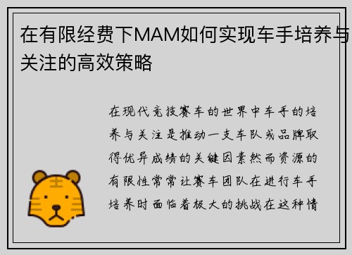 在有限经费下MAM如何实现车手培养与关注的高效策略