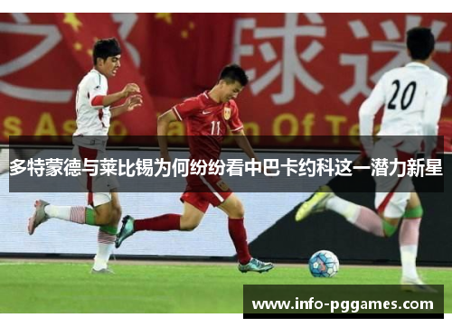 多特蒙德与莱比锡为何纷纷看中巴卡约科这一潜力新星