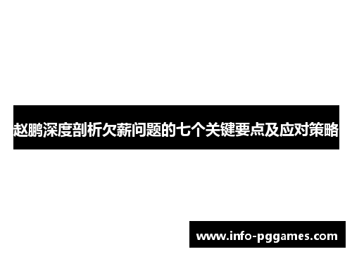 赵鹏深度剖析欠薪问题的七个关键要点及应对策略